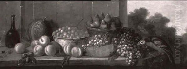 Coupe De Fraises, Raisins Et Pasteque Avec Perroquet Sur Fond De Paysage - view 1