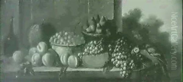 Coupe De Fraises, Raisins Et Pasteque Avec Perroquet Sur Un Fond De Paysage - view 1