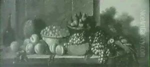 Coupe De Fraises, Raisins Et Pasteque Avec Perroquet Sur Un Fond De Paysage
