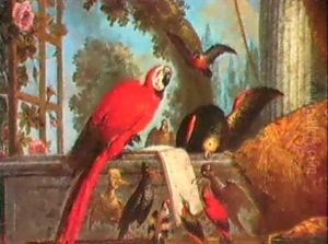 Concert D'oiseaux by Pierre Nicolas Huilliot
