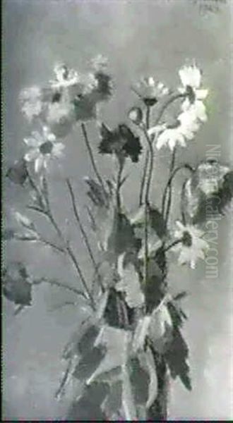 Nelken, Mohn Und Margeriten - view 1
