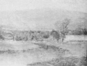 Summer Landscape