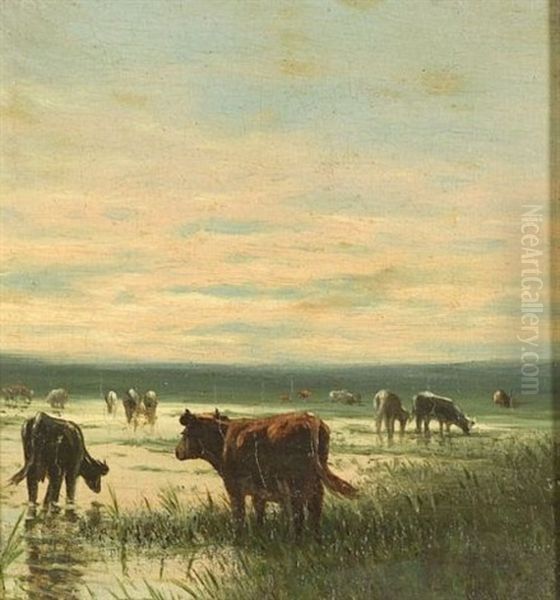Cattle Watering At The Marshes - view 1