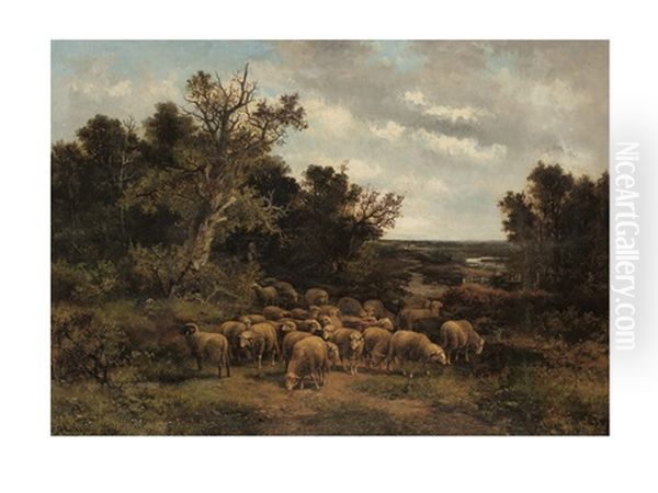 A Flock Of Sheep - view 1