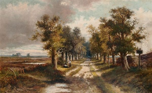 Eichenalle In Der Heide - view 1