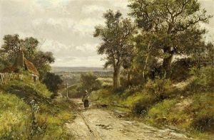 Auf Dem Waldweg Auf Dem Waldweg