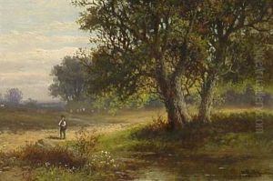 Wanderer In Weiter Baum Bestandener Landschaft
