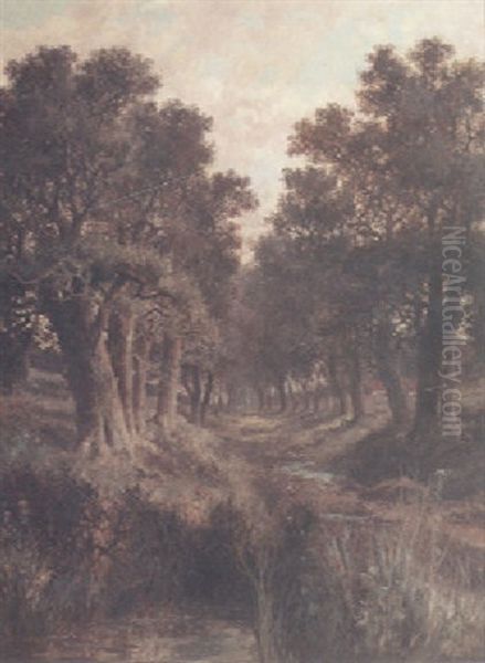 A Country Landscape With A Treelined Path And A Pond In The Foreground - view 1