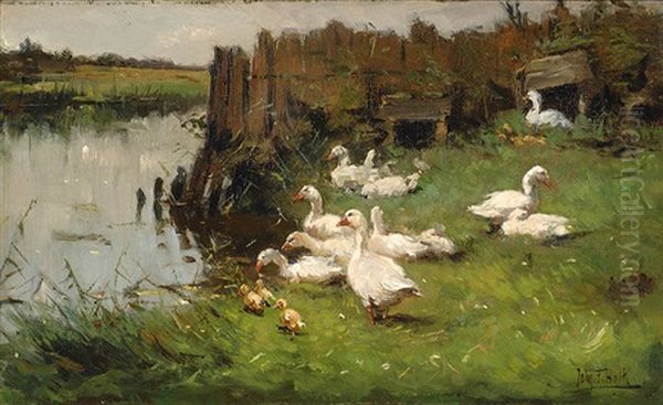 Ducks At The Water's Edge - view 1