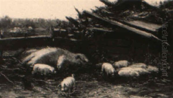 Pigs In A Farm Yard - view 1