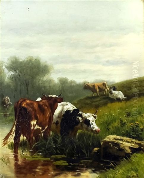 Grazing Cattle With Water Meadows - view 1