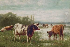 Cows On The Willow