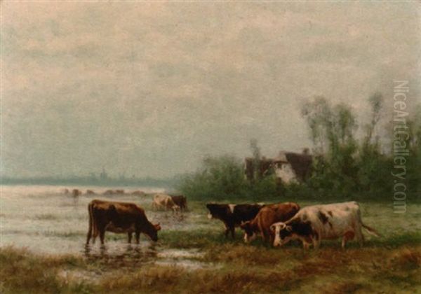 In Holland - view 1