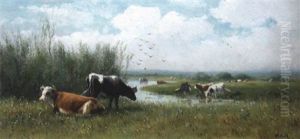 Cows At Pasture Cows At Pasture