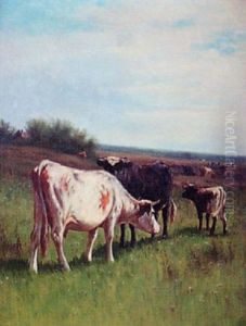 Cattle In An Extensive Country Landscape Cattle In An Extensive Country Landscape