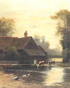Watering Cows Near A Farm