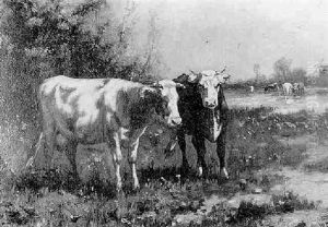 Cattle At Pasture by William Frederick Hulk