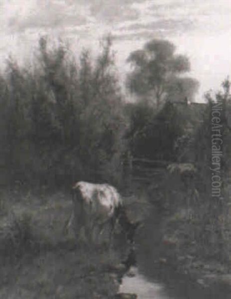 Cattle In A Stream - view 1