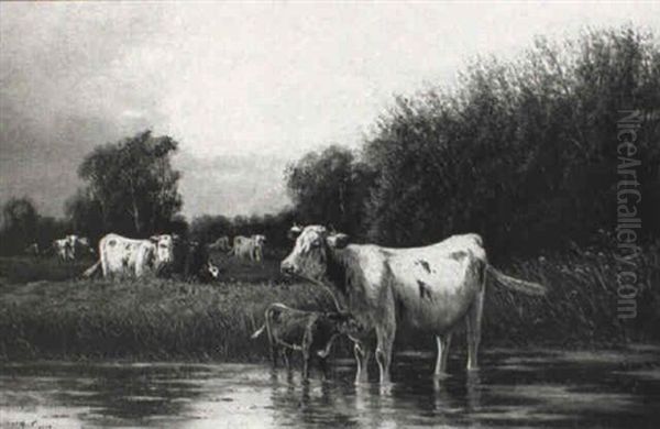 Cattle In A Watermeadow - view 1