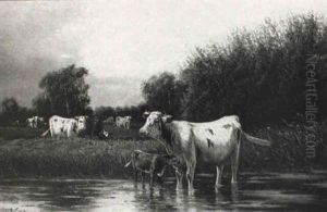 Cattle In A Watermeadow by William Frederick Hulk