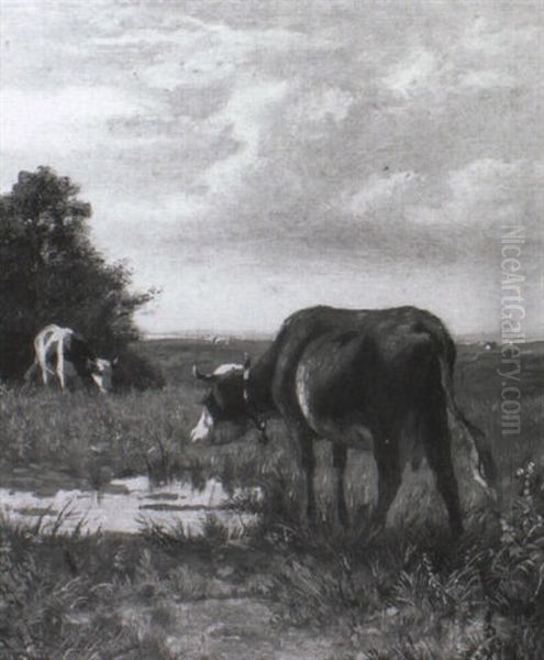 Cattle Grazing With An Extensive Landscape Beyond - view 1