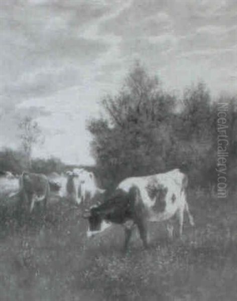 Cows Grazing - view 1