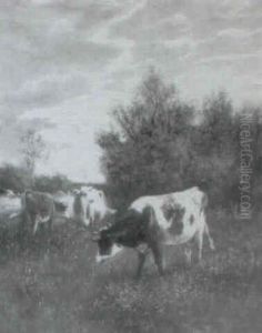 Cows Grazing Cows Grazing
