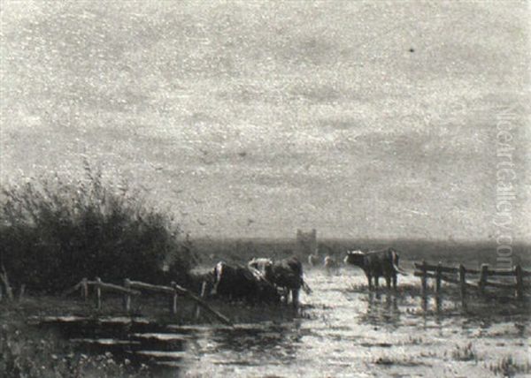 In The Water Meadow - view 1