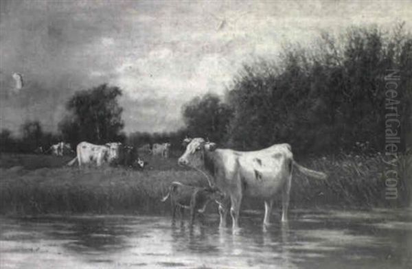 Cattle By A River - view 1
