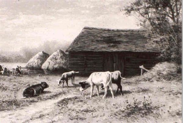 Cattle Watering [&] Calves Grazing Near A Barn - view 1