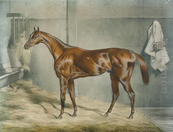 Sultan, Winner Of The Cambridgeshire Stakes At Newmarket - view 1