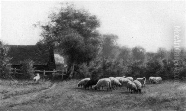 Weidende Schafe - view 1