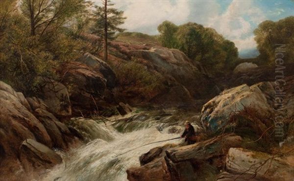 Salmon Fall - view 1