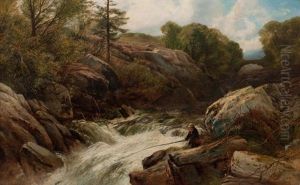 Salmon Fall