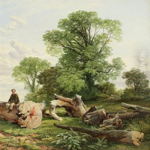 Young Boy Sitting On A Fallen Tree - view 1