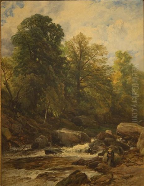 A Salmon Stream - view 1
