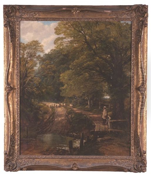 Shepherd With Flock Preparing To Cross A Creek - view 1