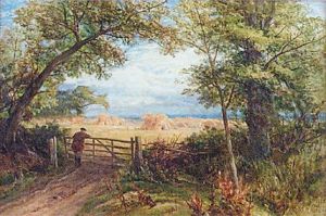Cornfield At Ockham, Surrey