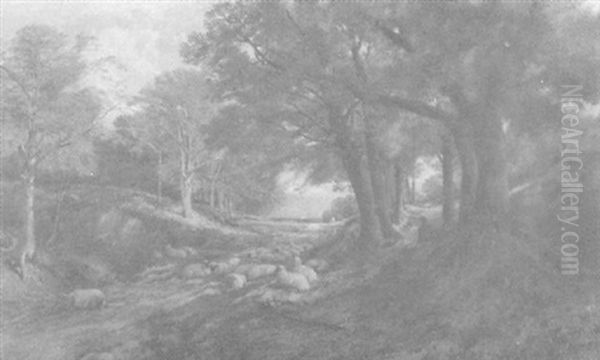 Waldlandschaft Mit Schafherde - view 1