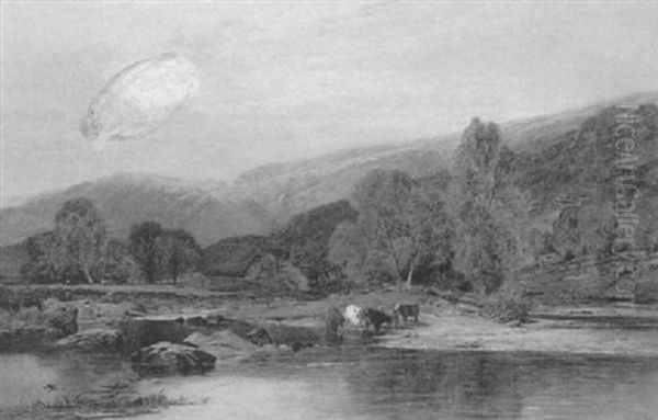 Cattle Watering - view 1