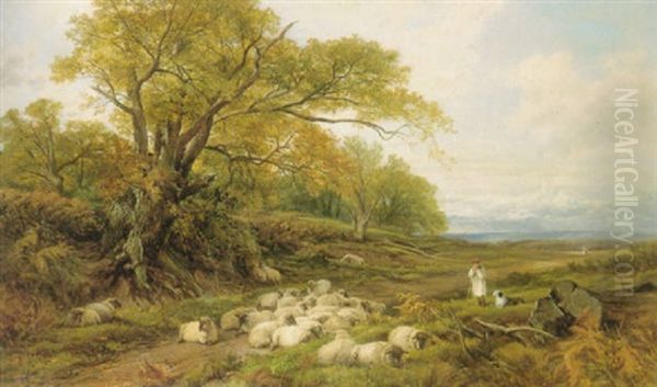 Watching The Flock - view 1
