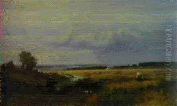 On Working Common, Surrey - view 1