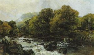A Woodland Torrent A Woodland Torrent