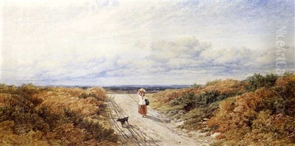 Sunny Day, Woking Common, Surrey - view 1