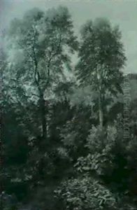 Landscape Landscape