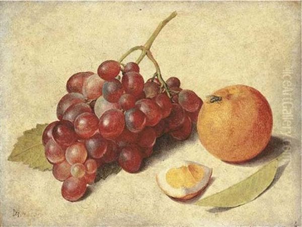A Bunch Of Grapes On The Vine, An Orange Segment And An Orange, With A  Leaf And A Fly - view 1