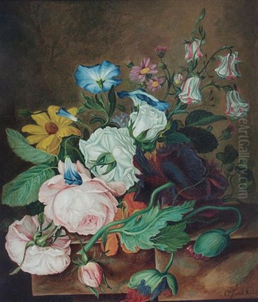 Still Life - view 1