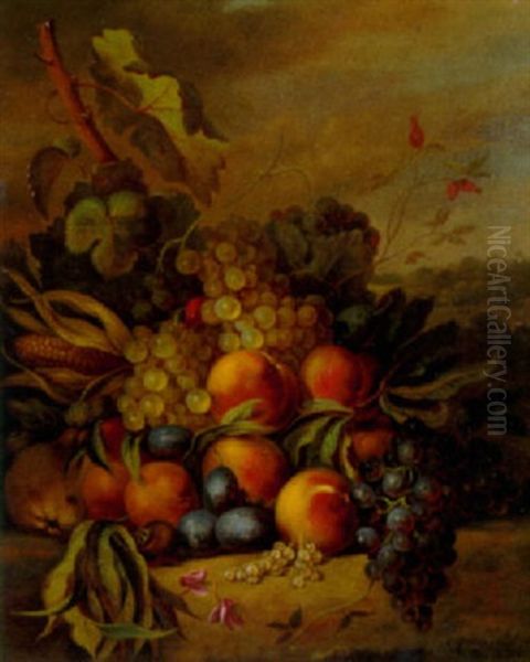 Still Life With Grapes, Peaches And Plums In A Landscape - view 1