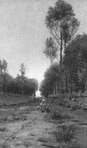 Waldschneise Mit Pilzsammlerinnen