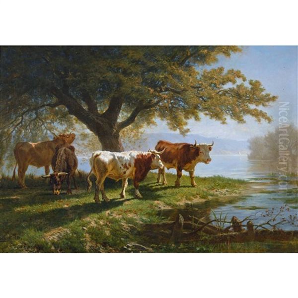 Kuhherde Am Besonnten Ufer Des Genfersees - view 1